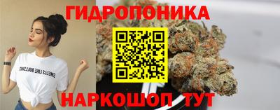 шишки Вязники