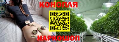 гидра Владимир